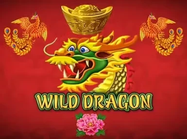 Coolzino Casino screenshot